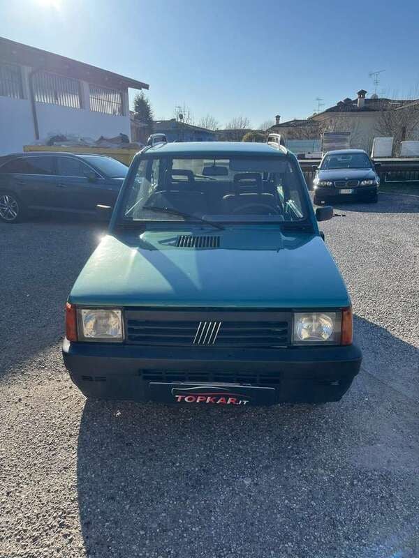 Usata Fiat Panda 4x4 Trekking 54 CV (39 kW) 2001 Verde Utilitaria