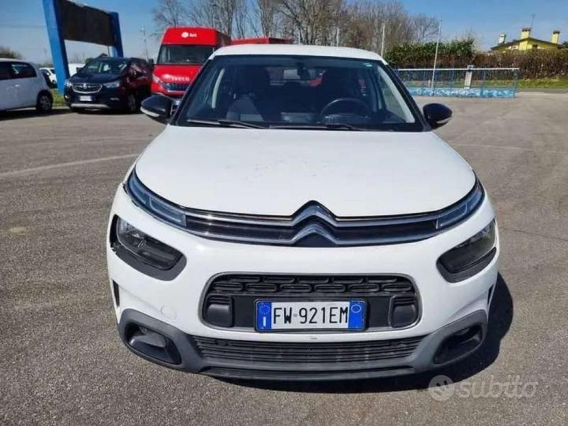 Usata Citroën C4 Feel 120 CV (88 kW) 2019 Bianco SUV