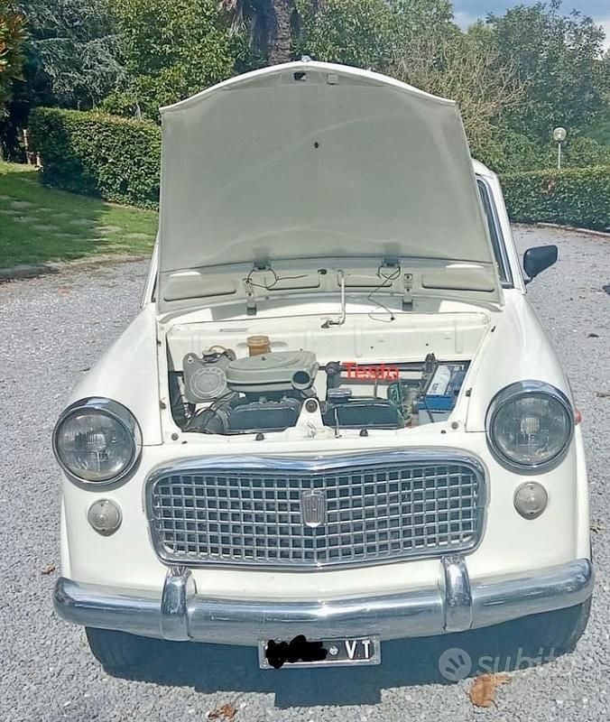 Usata Fiat 1100 1960 Berlina