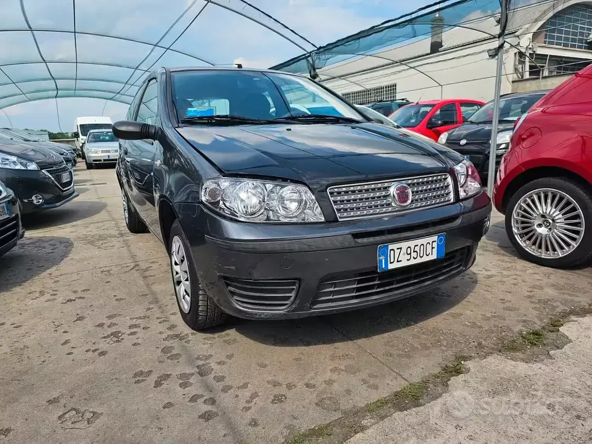 Usata Fiat Punto Active 60 CV (44 kW) 2009 Utilitaria