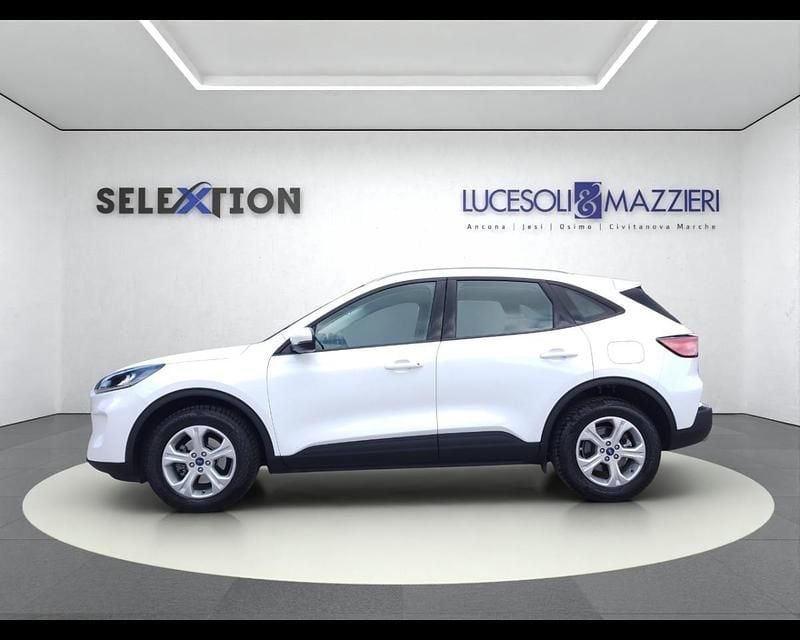 Usata Ford Kuga 120 CV (88 kW) 2022 Bianco SUV