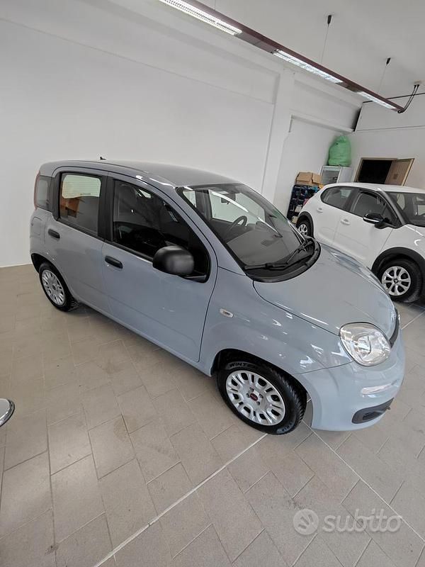 Usata Fiat Panda Easy 69 CV (50 kW) 2020 Grigio Berlina