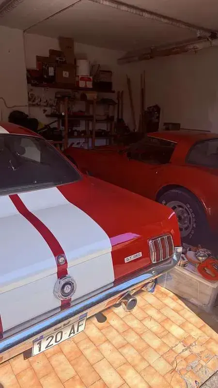 Usata Ford Mustang Fastback 340 CV (250 kW) 1965 Rosso Coupé