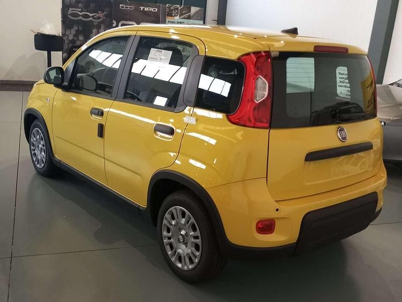 Usata Fiat Panda Red 69 CV (50 kW) 2024 Giallo Utilitaria
