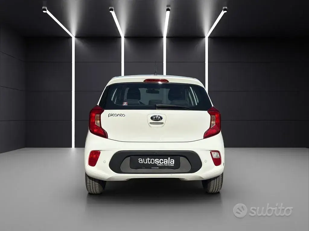 Usata Kia Picanto Active 67 CV (49 kW) 2019 Bianco Utilitaria