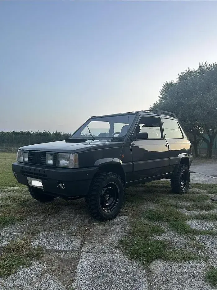 Usata Fiat Panda 4x4 50 CV (36 kW) 1993 Grigio Utilitaria