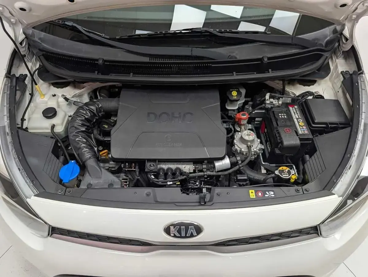 Usata Kia Picanto Urban 67 CV (49 kW) 2021 Bianco Utilitaria