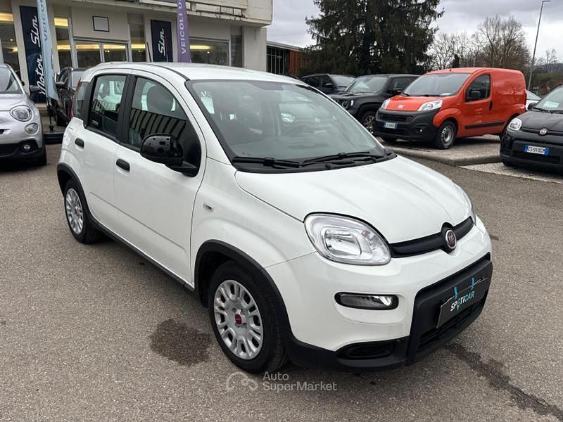 Usata Fiat Panda S 69 CV (50 kW) 2024 Bianco Utilitaria