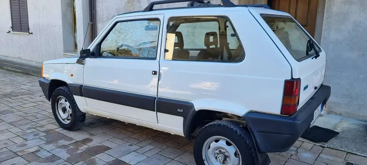 Usata Fiat Panda 4x4 Trekking 54 CV (39 kW) 2001 Bianco Utilitaria