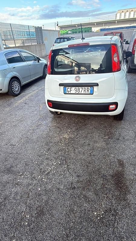 Usata Fiat Panda 70 CV (51 kW) 2021 Bianco Berlina