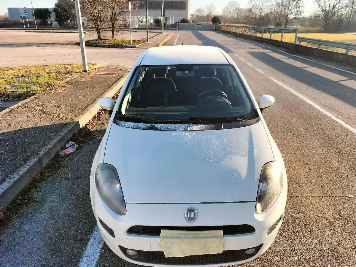 Usata Fiat Punto 65 CV (47 kW) 2016 Bianco Utilitaria