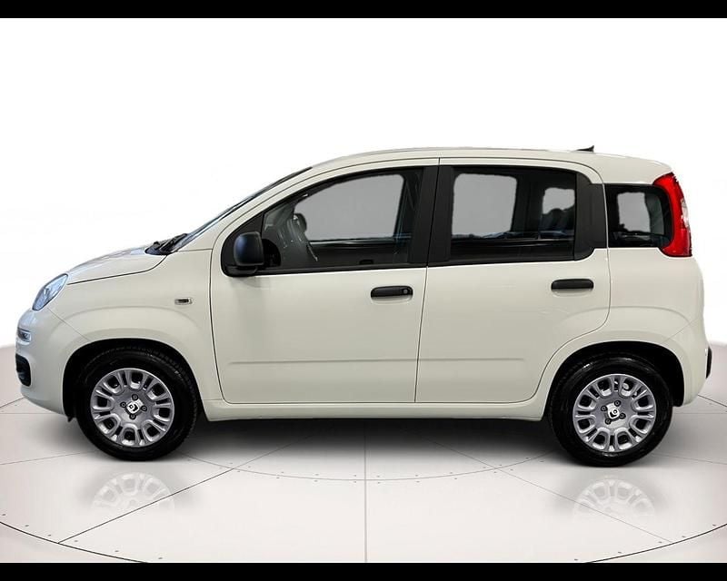 Nuova Fiat Panda S 70 CV (51 kW) 2025 Bianco gelato Utilitaria
