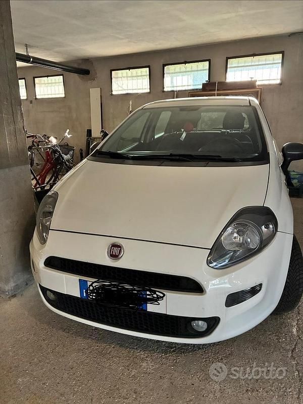 Usata Fiat Punto Young 2015 Bianco Berlina
