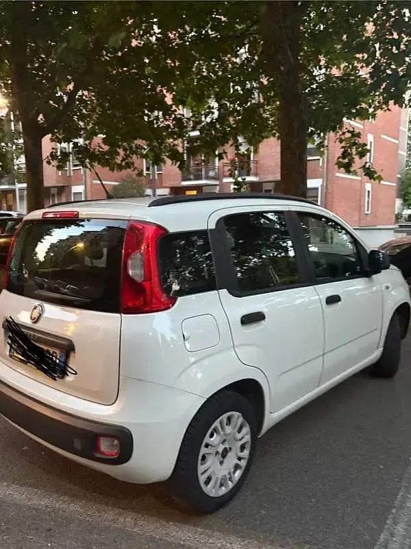 Usata Fiat Panda 101 CV (74 kW) 2014 Utilitaria
