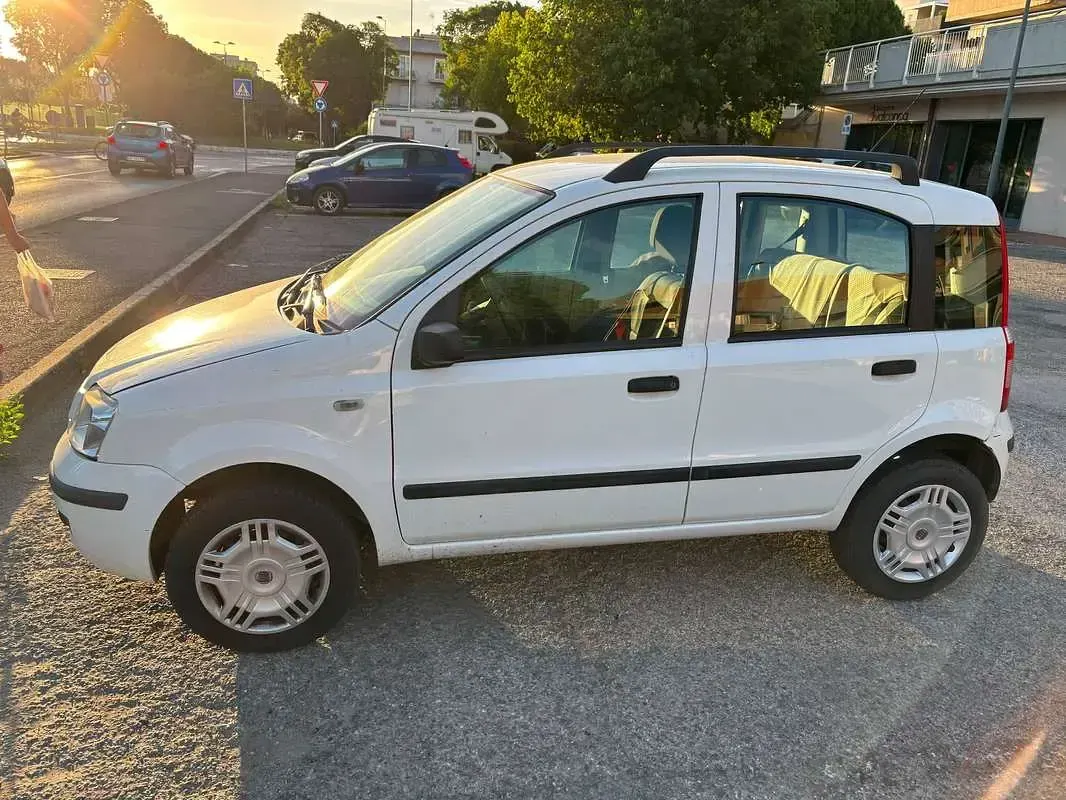 Usata Fiat Panda Dynamic 60 CV (44 kW) 2007 Bianco Utilitaria