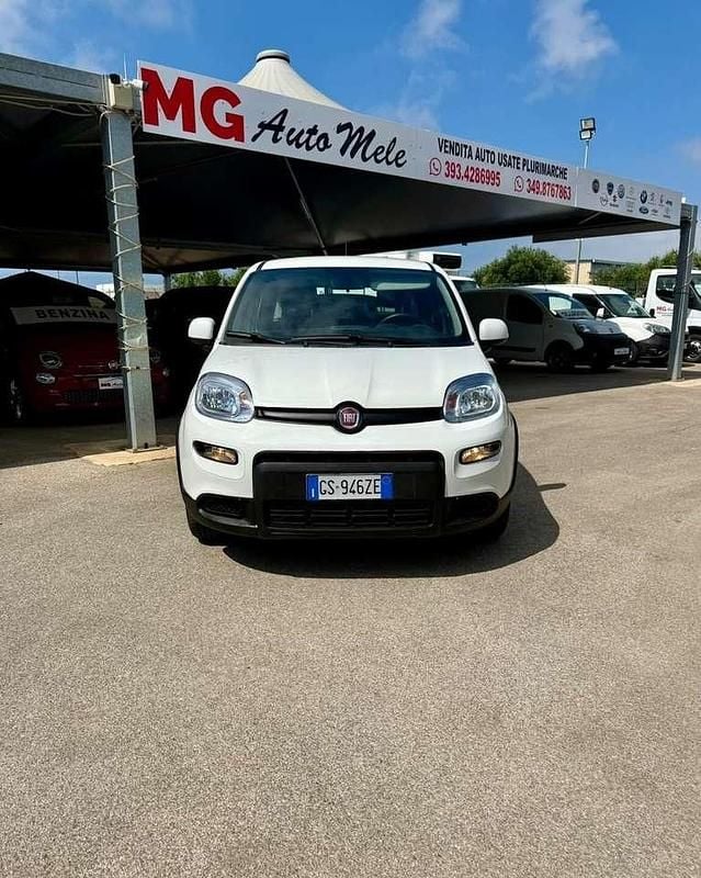 Usata Fiat Panda S 70 CV (51 kW) 2024 Bianco Utilitaria