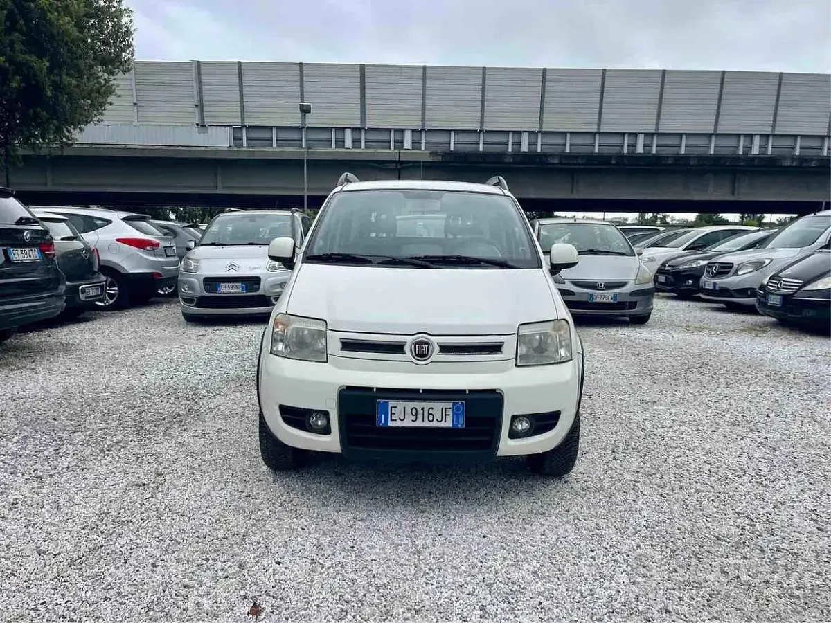 Usata Fiat Panda 4x4 Climbing 75 CV (55 kW) 2011 Bianco Utilitaria