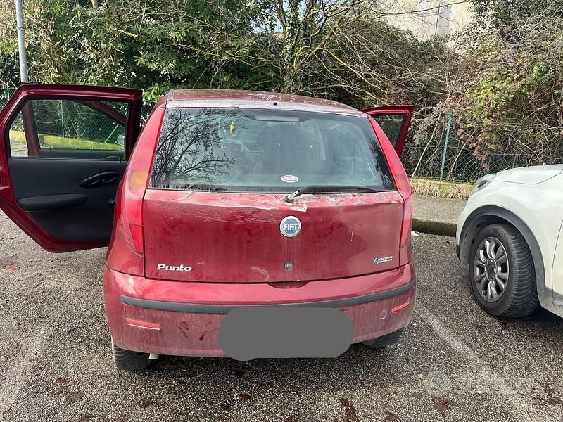 Usata Fiat Punto Active 60 CV (44 kW) 2009 Rosso Utilitaria