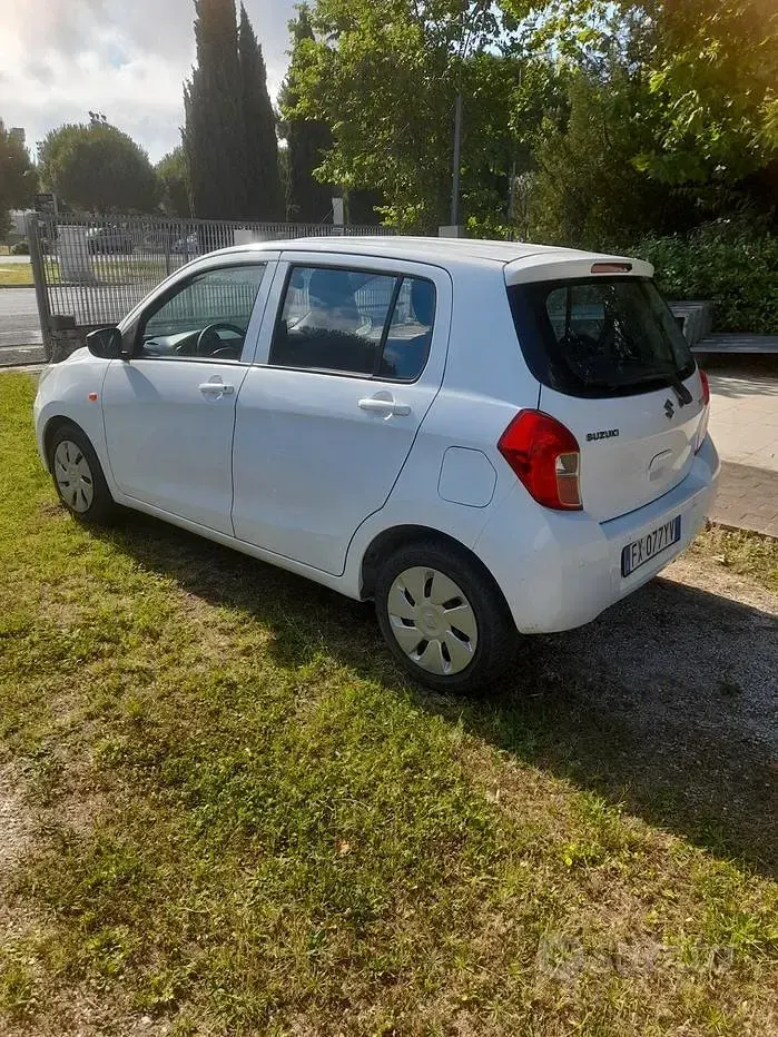 Usata Suzuki Celerio Cool 68 CV (50 kW) 2019 Bianco Utilitaria