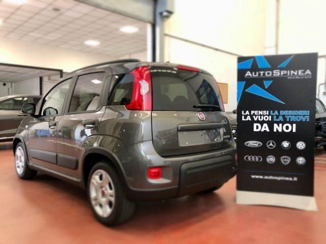 Usata Fiat Panda S 71 CV (52 kW) 2023 Grigio Utilitaria