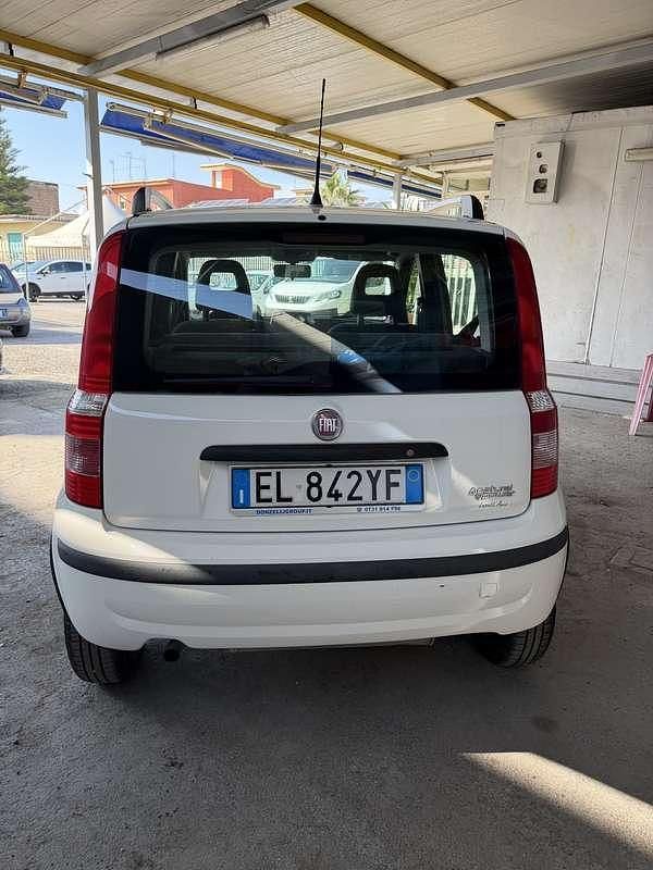 Usata Fiat Panda Active 77 CV (56 kW) 2012 Utilitaria