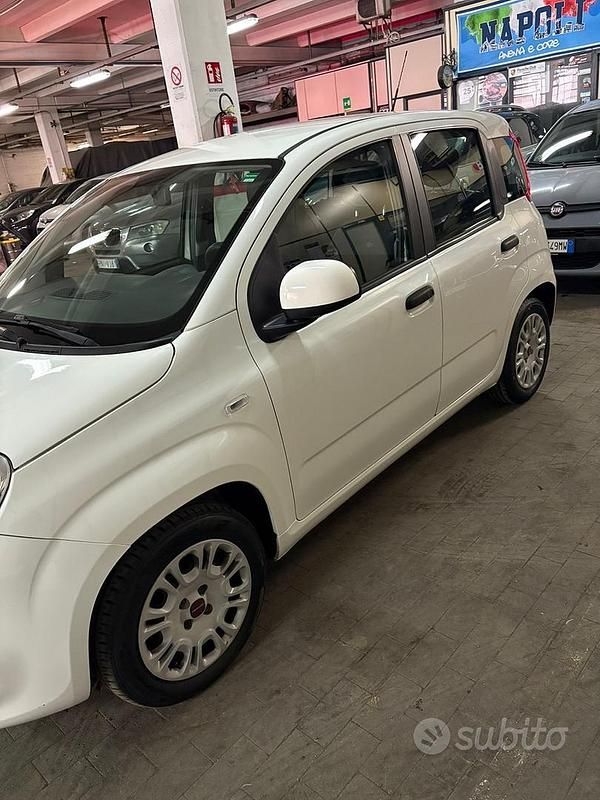 Usata Fiat Panda 69 CV (50 kW) 2018 Berlina