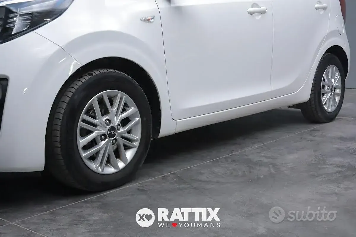 Usata Kia Picanto Urban 67 CV (49 kW) 2024 Bianco Utilitaria