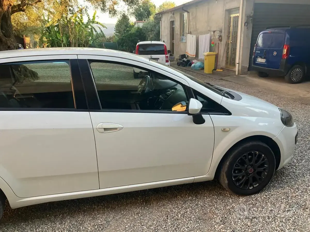 Usata Fiat Punto 75 CV (55 kW) 2011 Bianco Utilitaria