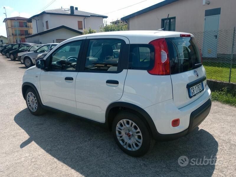 Usata Fiat Panda S 70 CV (51 kW) 2023 Bianco Utilitaria