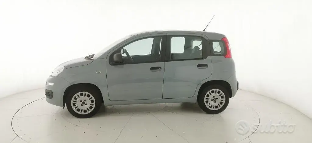 Usata Fiat Panda Easy 69 CV (50 kW) 2019 Grigio Utilitaria