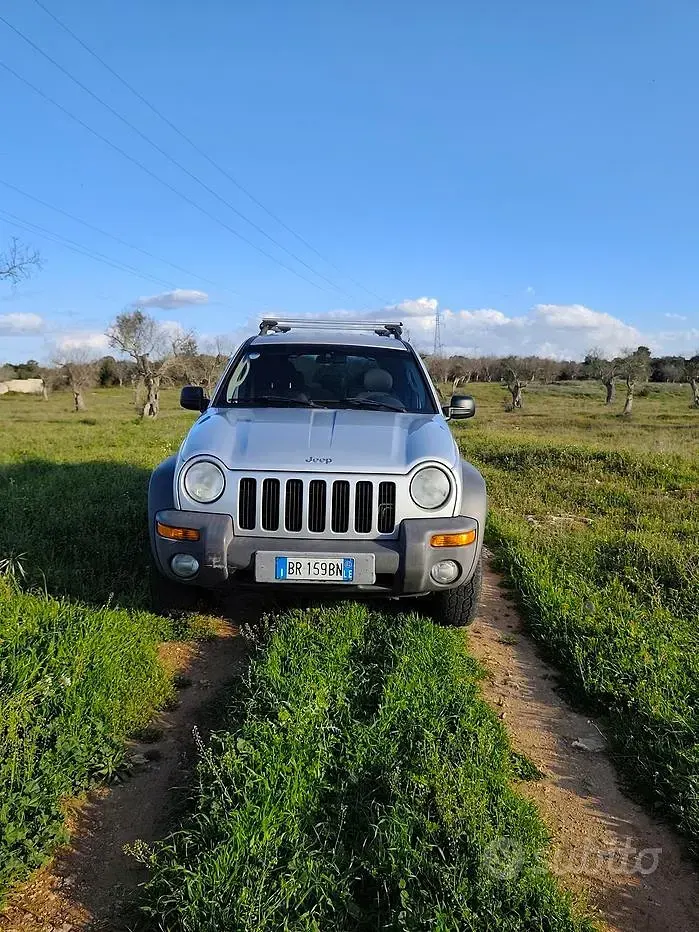 Usata Jeep Cherokee 143 CV (105 kW) 2002 Grigio SUV