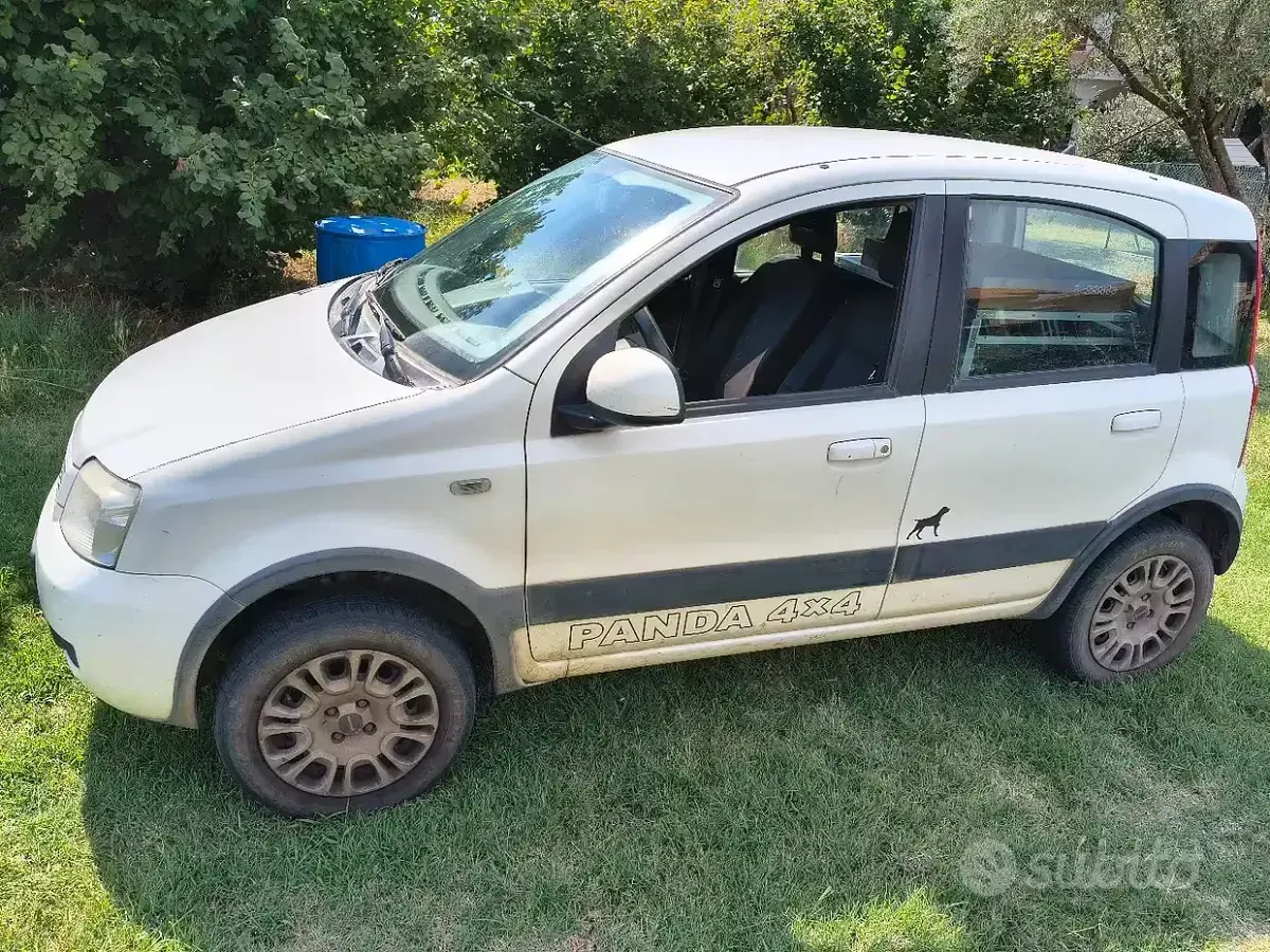 Usata Fiat Panda 4x4 Climbing 75 CV (55 kW) 2011 Bianco Utilitaria