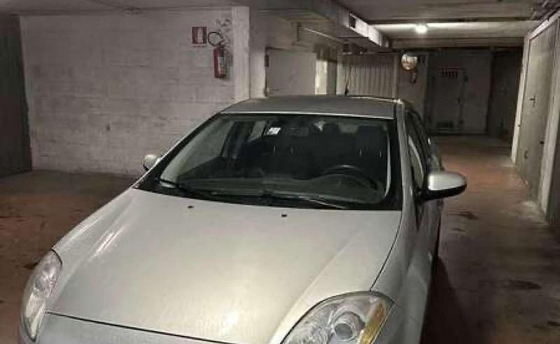 Usata Fiat Bravo Active 105 CV (77 kW) 2008 Argento Utilitaria