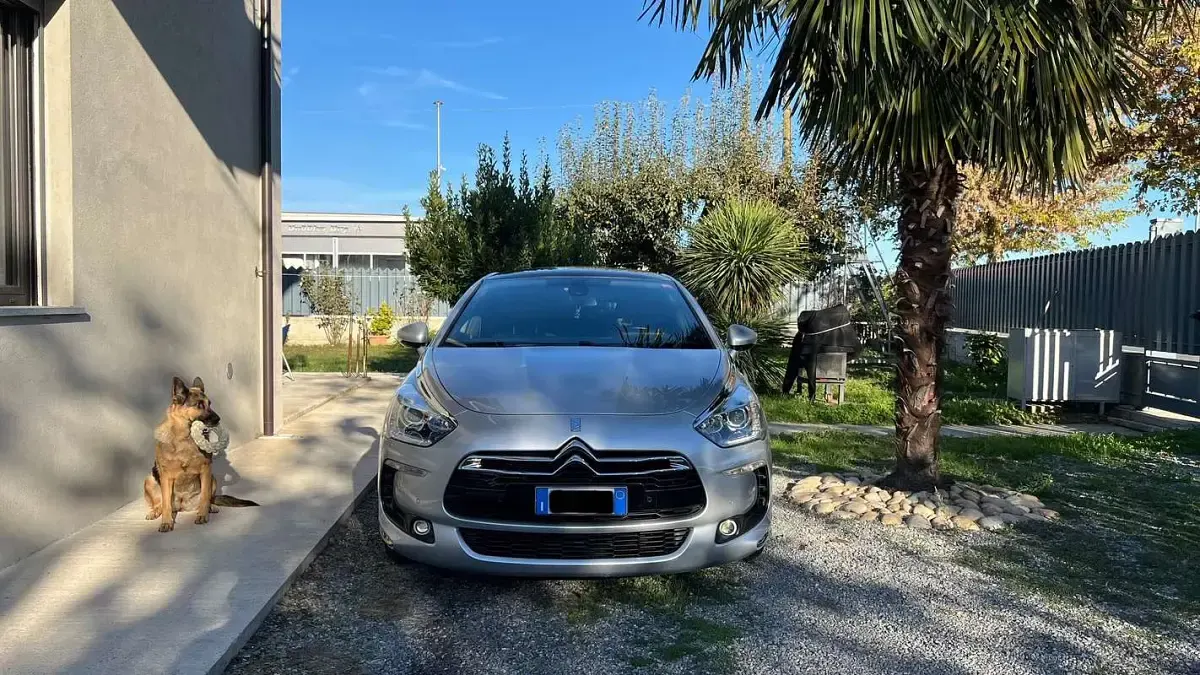 Usata Citroën DS5 So Chic 181 CV (133 kW) 2015 Utilitaria