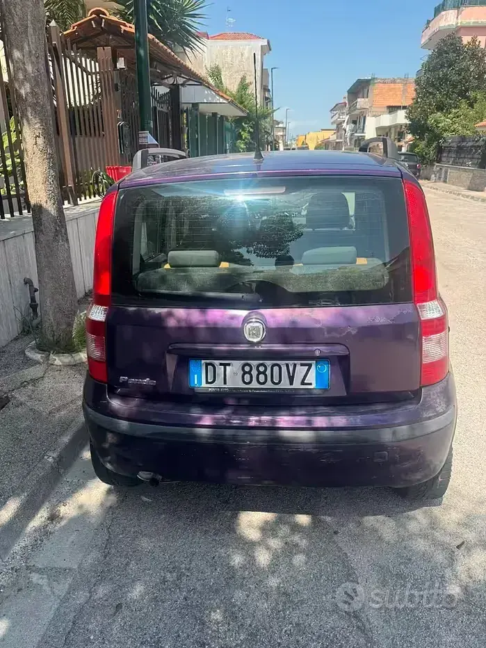 Usata Fiat Panda 60 CV (44 kW) 2009 Viola Utilitaria