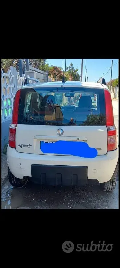 Usata Fiat Panda 60 CV (44 kW) 2009 Bianco Utilitaria