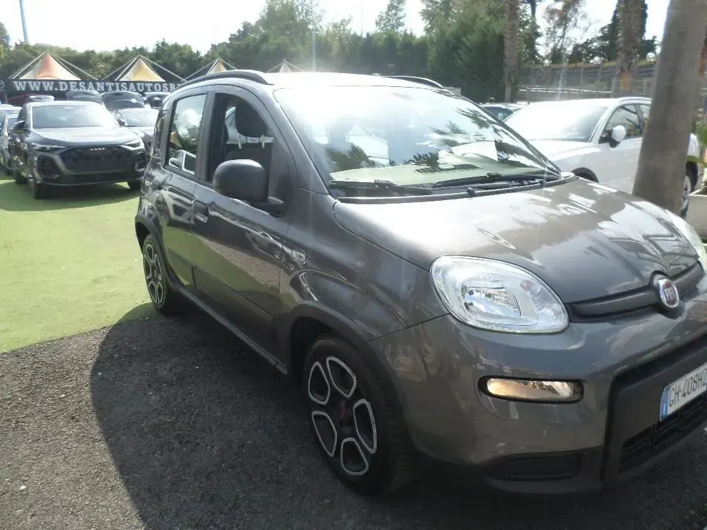 Usata Fiat Panda Cross Cross 70 CV (51 kW) 2021 Grigio Utilitaria