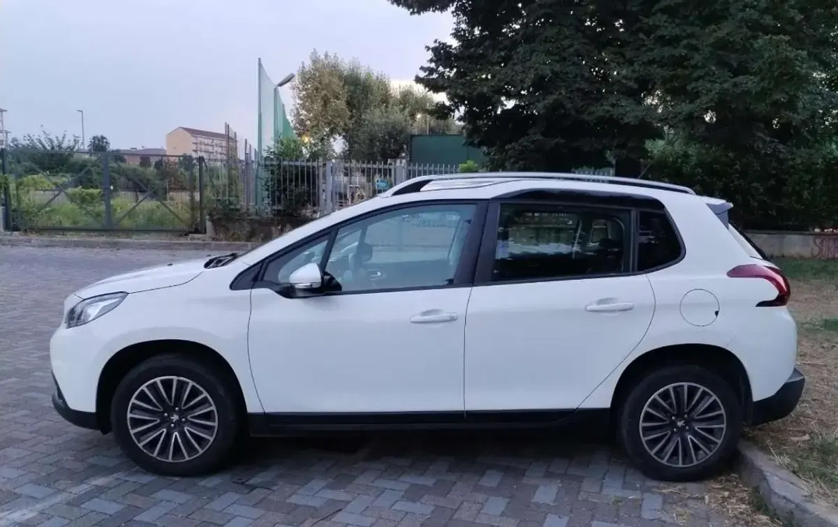 Usata Peugeot 2008 Allure 83 CV (61 kW) 2019 Bianco SUV