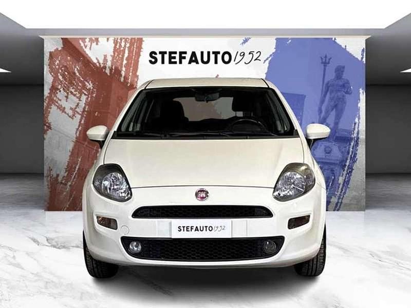 Usata Fiat Punto Lounge 69 CV (50 kW) 2014 Bianco Utilitaria