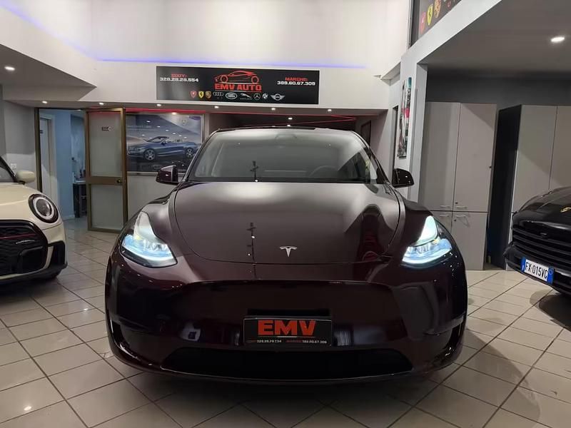 Usata Tesla Model Y Performance 392 kW (534 CV) 2024 Marrone SUV