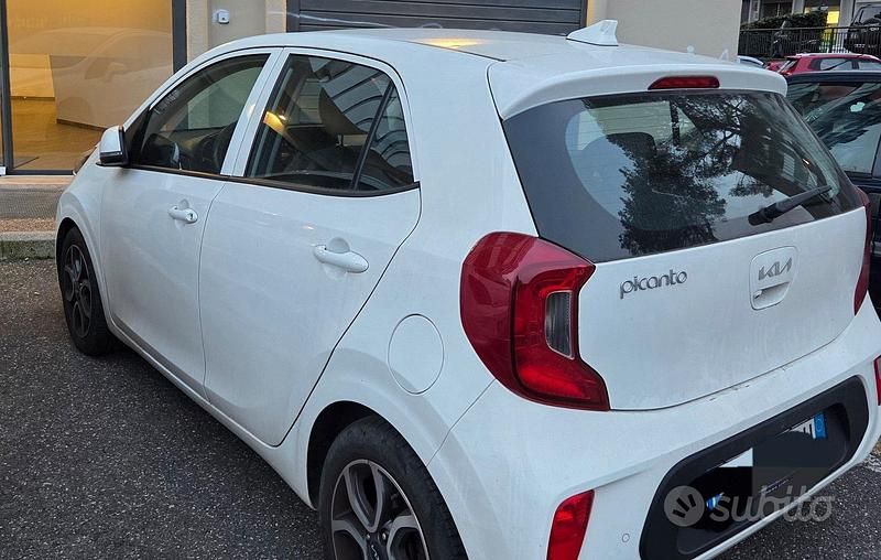 Usata Kia Picanto 2023 Bianco Utilitaria