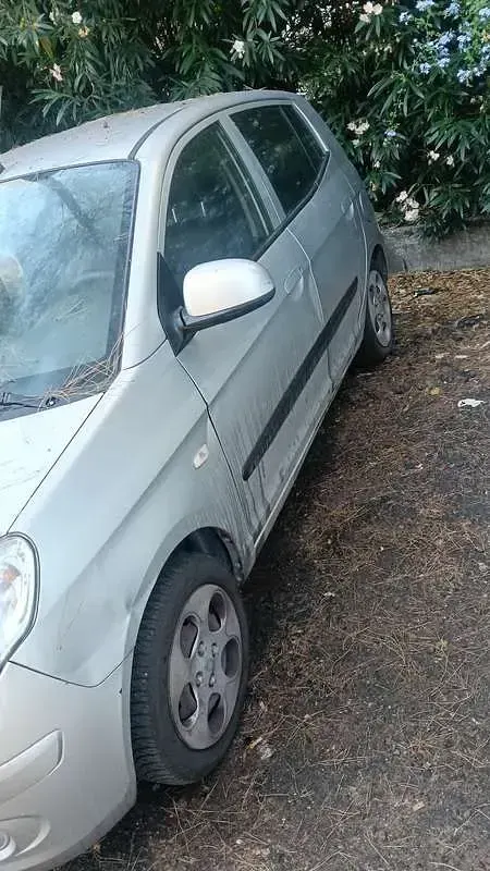 Usata Kia Picanto 60 CV (44 kW) 2009 Argento Utilitaria