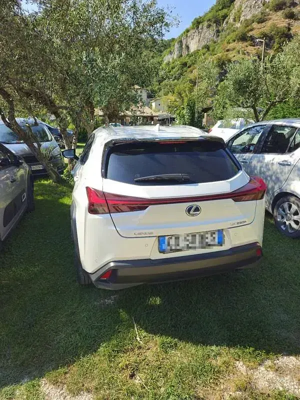 Usata Lexus UX 250h Luxury Line 145 CV (106 kW) 2020 Bianco SUV
