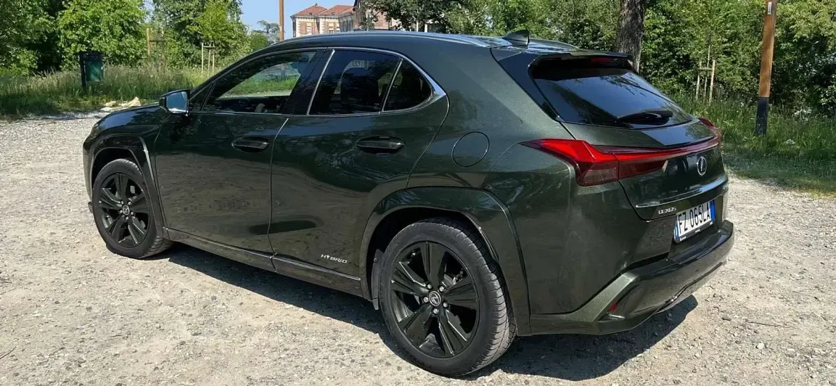Usata Lexus UX 250h Luxury Line 184 CV (135 kW) 2019 Verde SUV