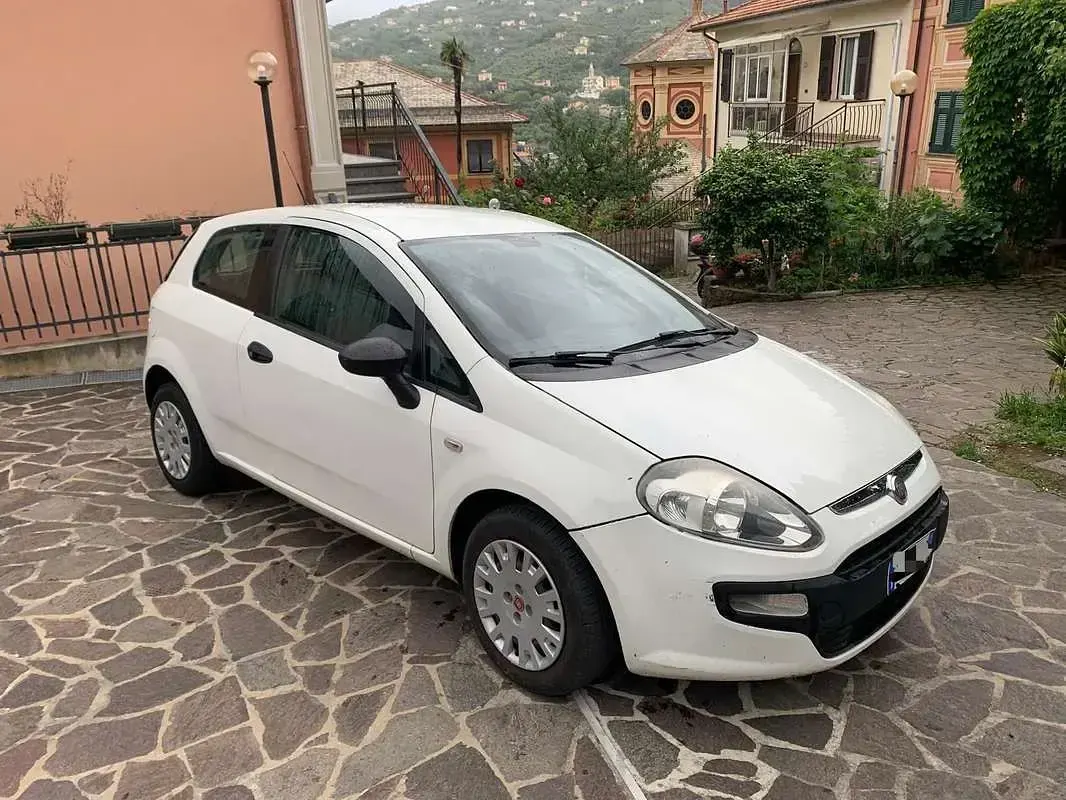 Usata Fiat Punto Evo Dynamic 65 CV (47 kW) 2011 Bianco Utilitaria