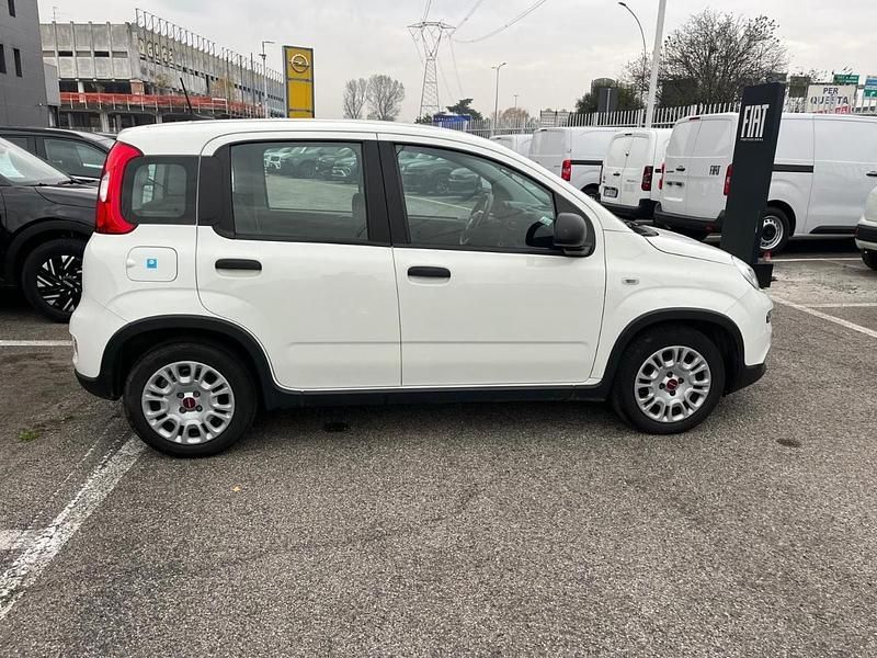 Usata Fiat Panda S 69 CV (50 kW) 2023 Bianco Utilitaria