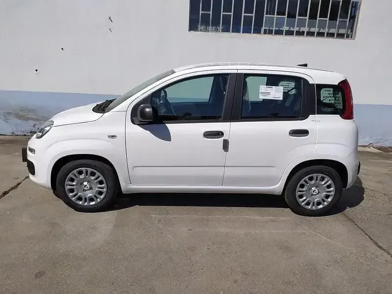Nuova Fiat Panda Icon 65 CV (47 kW) 2026 Bianco Utilitaria