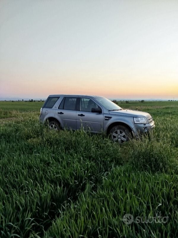 Usata Land Rover Freelander 2 150 CV (110 kW) 2014 SUV