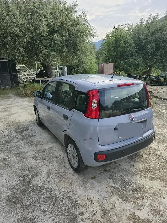 Usata Fiat Panda Easy 69 CV (50 kW) 2019 Grigio Utilitaria