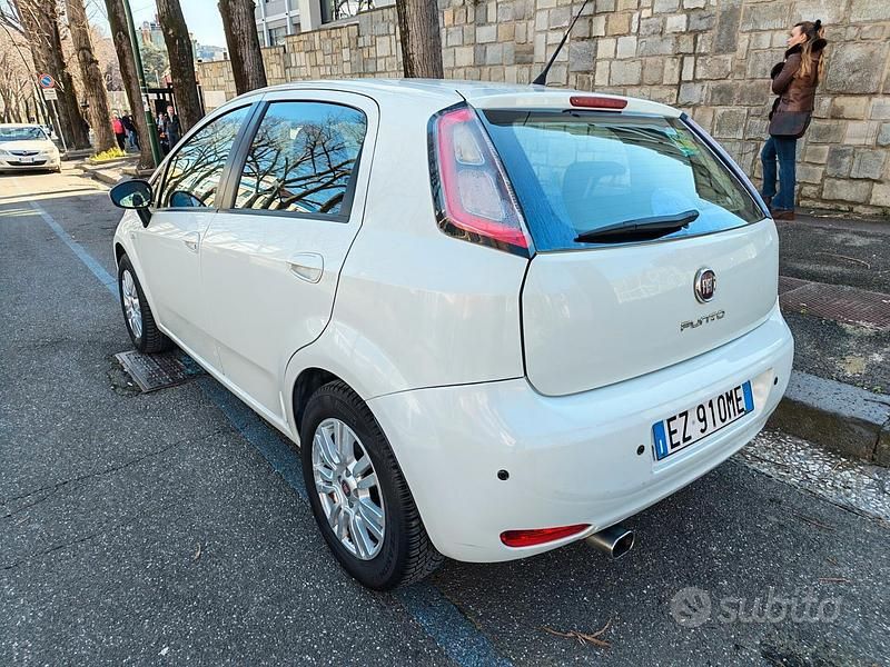 Usata Fiat Punto 75 CV (55 kW) 2015 Bianco Utilitaria